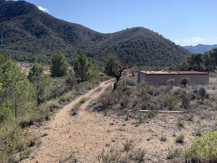 Image No.39-3 Bed Land for sale