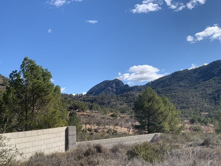 Image No.6-3 Bed Land for sale