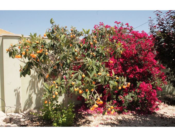 Image No.29-3 Bed Villa for sale