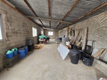 wimg-20250610-wa0042