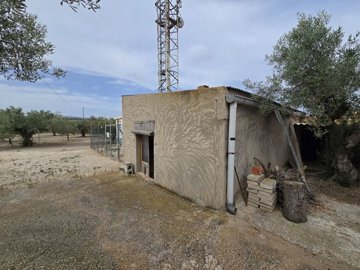 wimg-20250610-wa0039