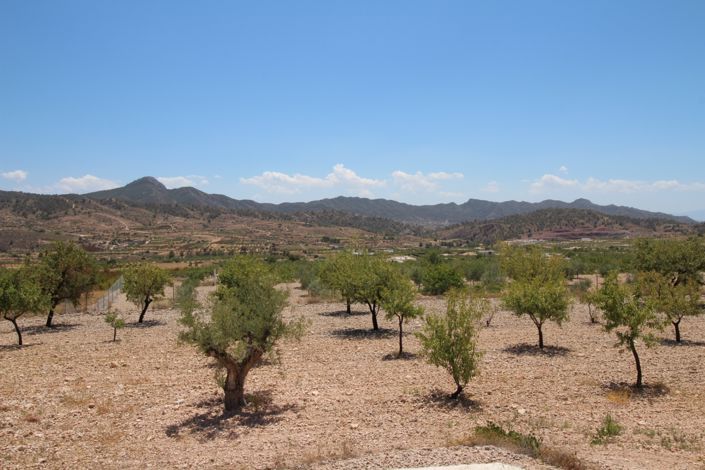 Image No.41-4 Bed Villa for sale