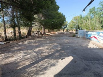 wwhatsapp-image-2025-07-22-at-202037-4-