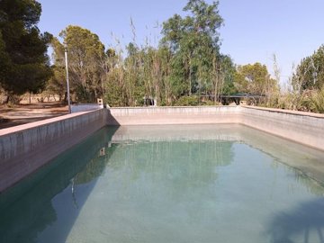 wwhatsapp-image-2025-07-22-at-202037-5-