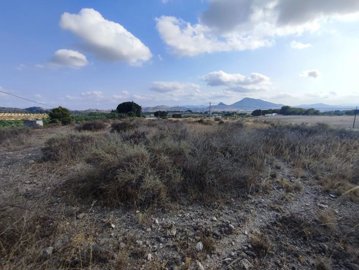 wwhatsapp-image-2025-07-08-at-194528