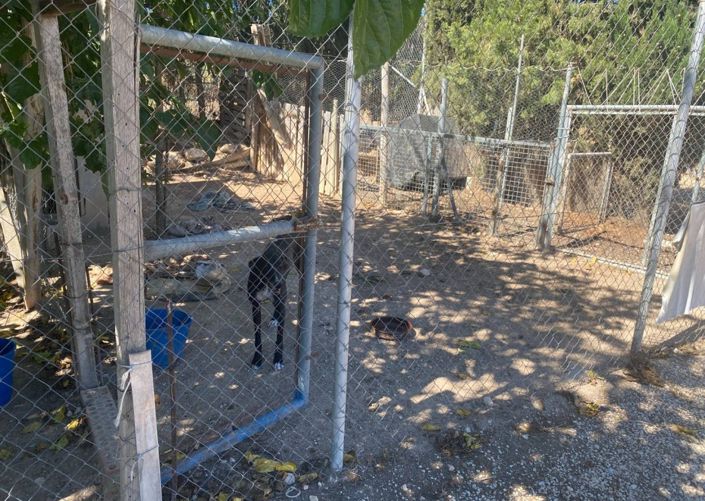 Image No.29-Villa de 3 chambres à vendre à Salinas