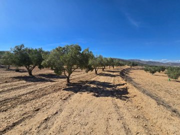 wwhatsapp-image-2025-09-12-at-163508