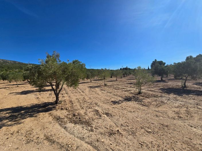 Image No.4-Land for sale