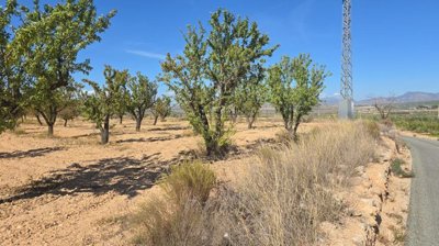 wwhatsapp-image-2025-09-12-at-164953-1-