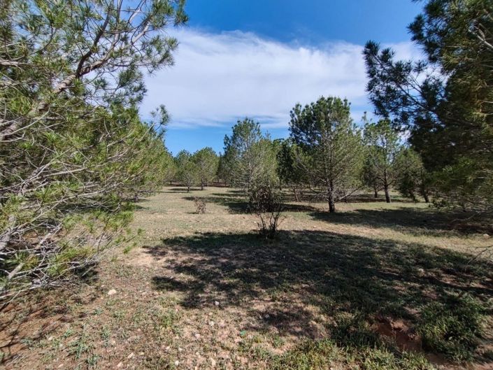 Image No.3-6 Bed Country House for sale