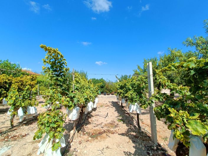 Image No.46-Villa de 4 chambres à vendre à Aspe