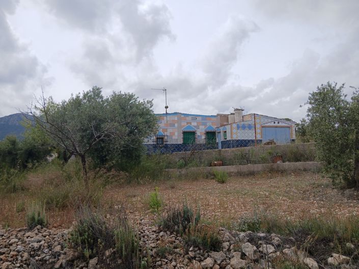 Image No.31-Maison de campagne de 5 chambres à vendre à Yecla