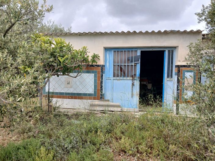 Image No.32-Maison de campagne de 5 chambres à vendre à Yecla
