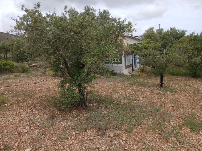 Image No.36-Maison de campagne de 5 chambres à vendre à Yecla