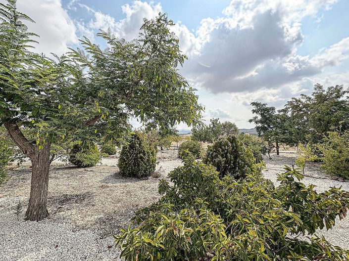 Image No.9-Villa de 5 chambres à vendre à Pinoso