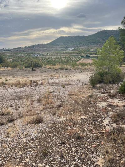 Image No.18-Terre de 2 chambres à vendre à Pinoso