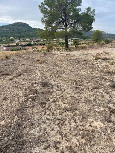 Image No.28-Terre de 2 chambres à vendre à Pinoso