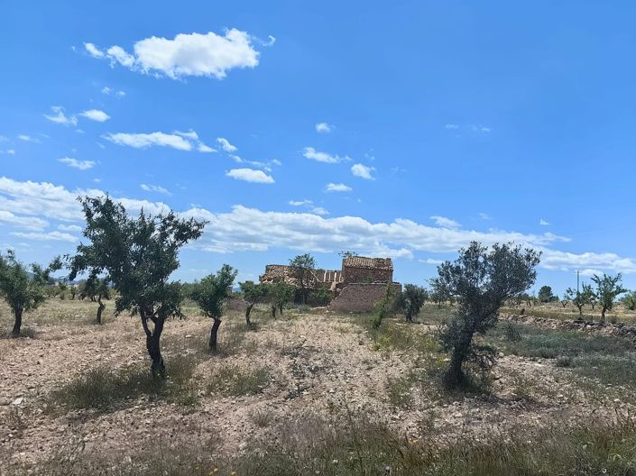 Image No.5-Property for sale