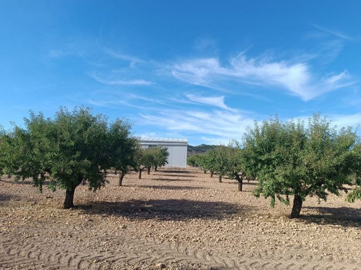 Image No.1-Land for sale