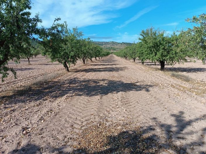 Image No.10-Land for sale