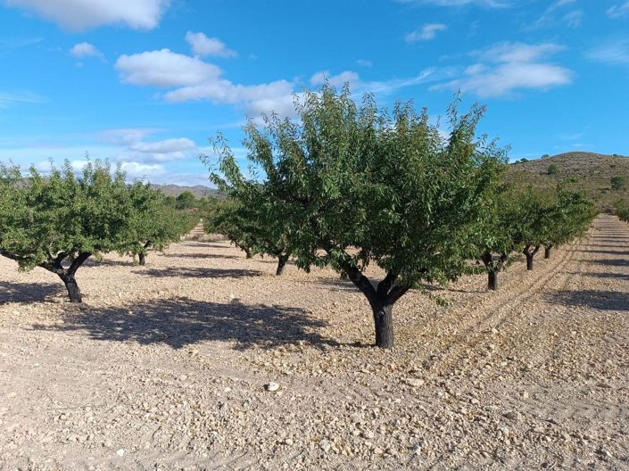 Image No.2-Land for sale