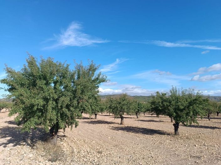 Image No.6-Land for sale