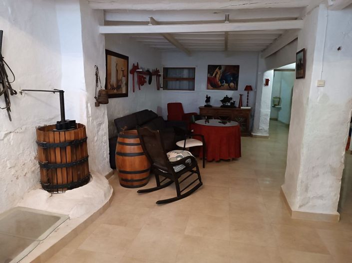 Image No.4-6 Bed Country House for sale