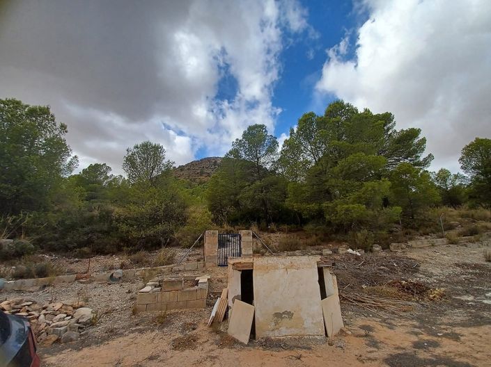 Image No.43-3 Bed Country House for sale