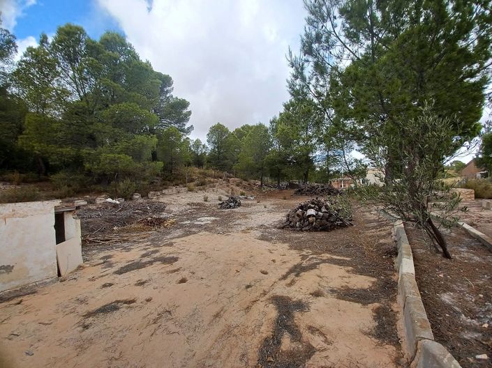 Image No.45-3 Bed Country House for sale