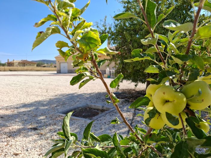 Image No.50-Villa de 4 chambres à vendre à Canada Del Trigo