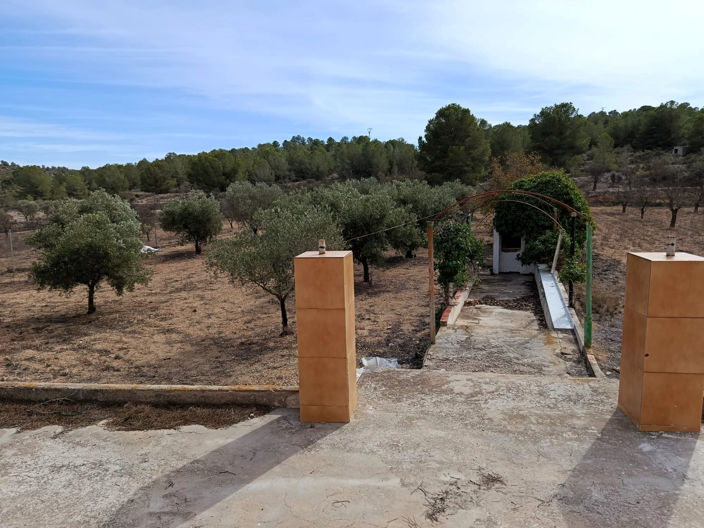 Image No.6-Maison de campagne de 3 chambres à vendre à Monóvar