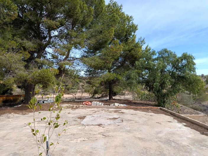 Image No.9-Maison de campagne de 3 chambres à vendre à Monóvar