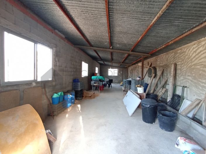 Image No.38-Maison de campagne de 2 chambres à vendre à Sax