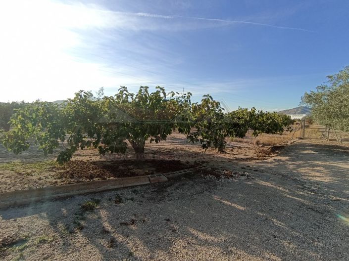 Image No.41-2 Bed Country House for sale