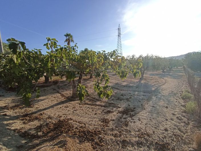 Image No.42-2 Bed Country House for sale