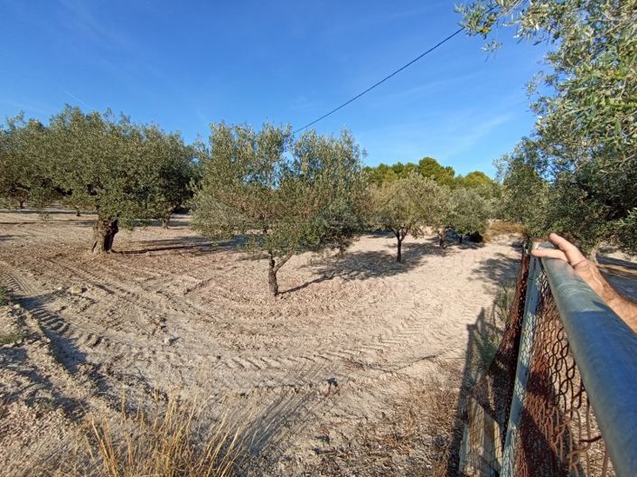 Image No.44-2 Bed Country House for sale