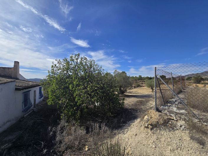 Image No.14-7 Bed Country House for sale