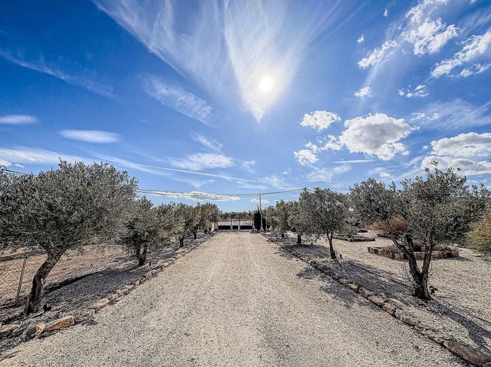 Image No.20-Villa de 4 chambres à vendre à Pinoso