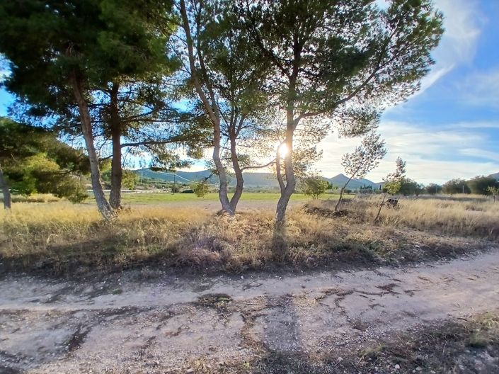 Image No.27-Maison de campagne de 3 chambres à vendre à Yecla