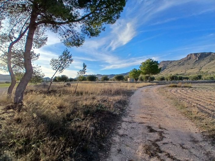 Image No.30-Maison de campagne de 3 chambres à vendre à Yecla