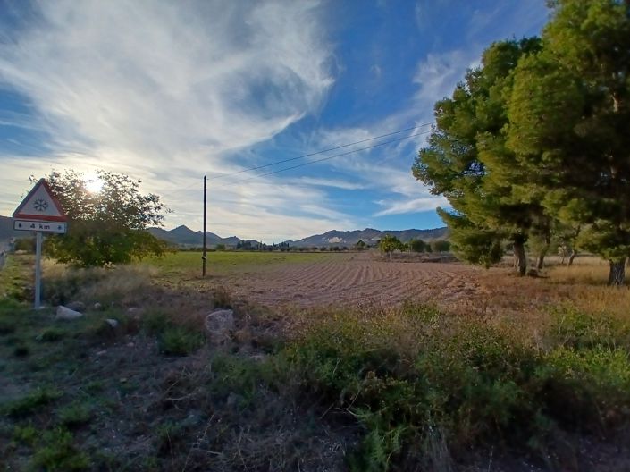 Image No.32-Maison de campagne de 3 chambres à vendre à Yecla