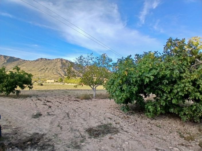 Image No.35-Maison de campagne de 3 chambres à vendre à Yecla