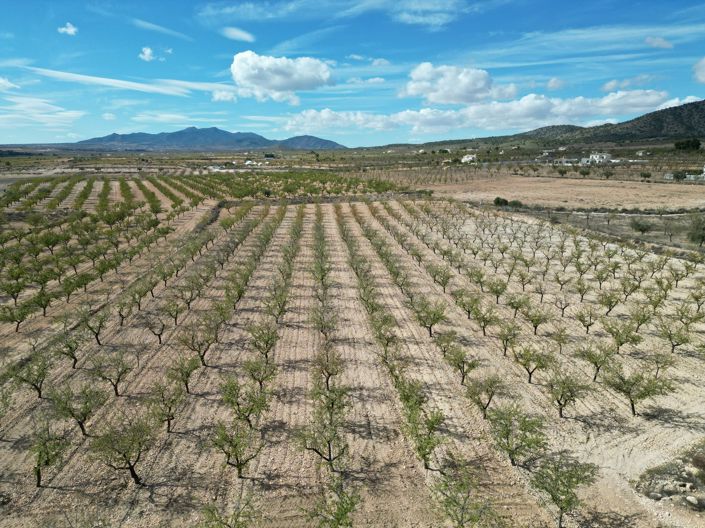 Image No.8-Land for sale