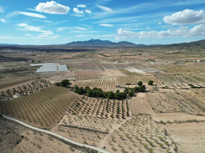 Image No.19-Land for sale