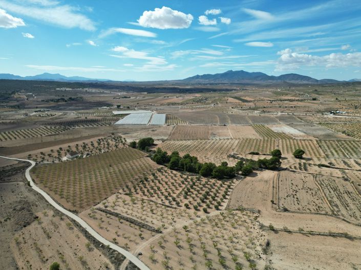 Image No.20-Land for sale