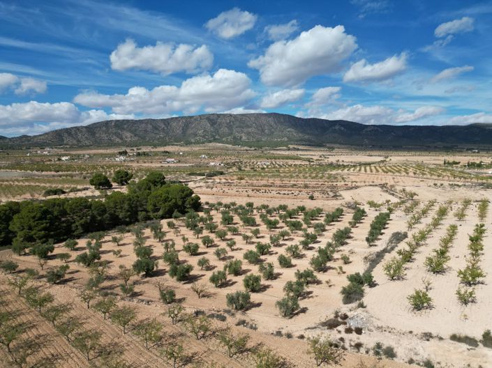 Image No.23-Land for sale