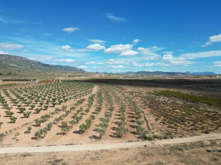 Image No.11-Land for sale