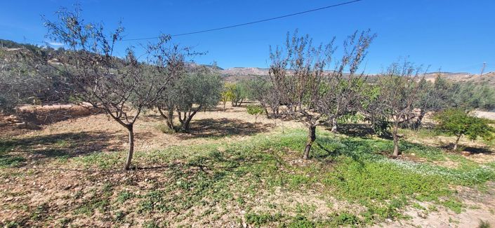 Image No.16-Villa de 2 chambres à vendre à La Romana