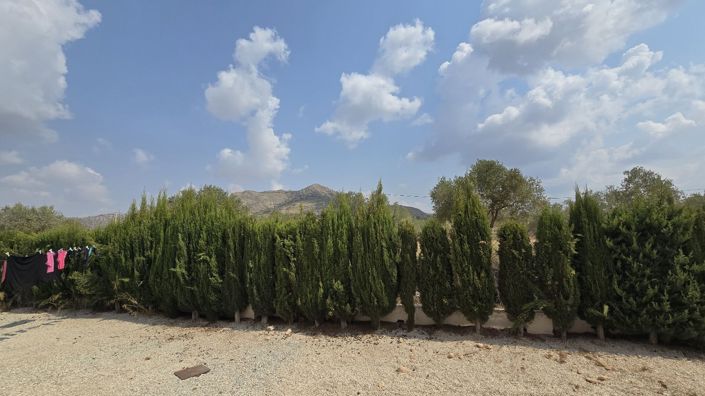 Image No.26-3 Bed Villa for sale