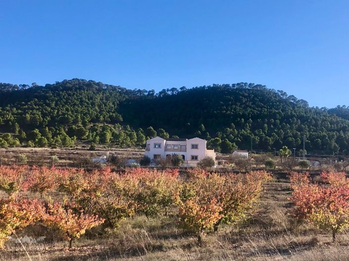 Image No.30-6 Bed Villa for sale